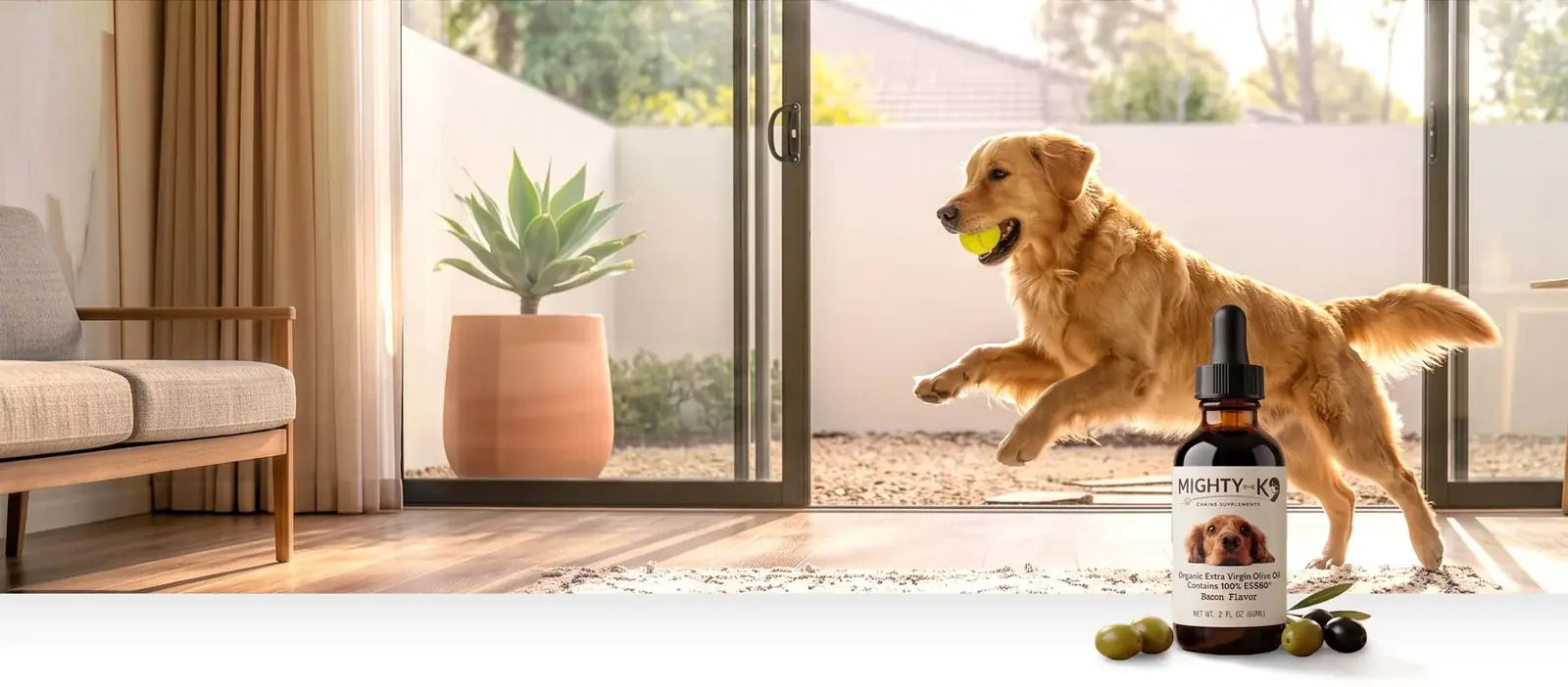 A golden retriever leaping across a sunny patio with a tennis ball, a Mighty K9 bottle and olives in the foreground