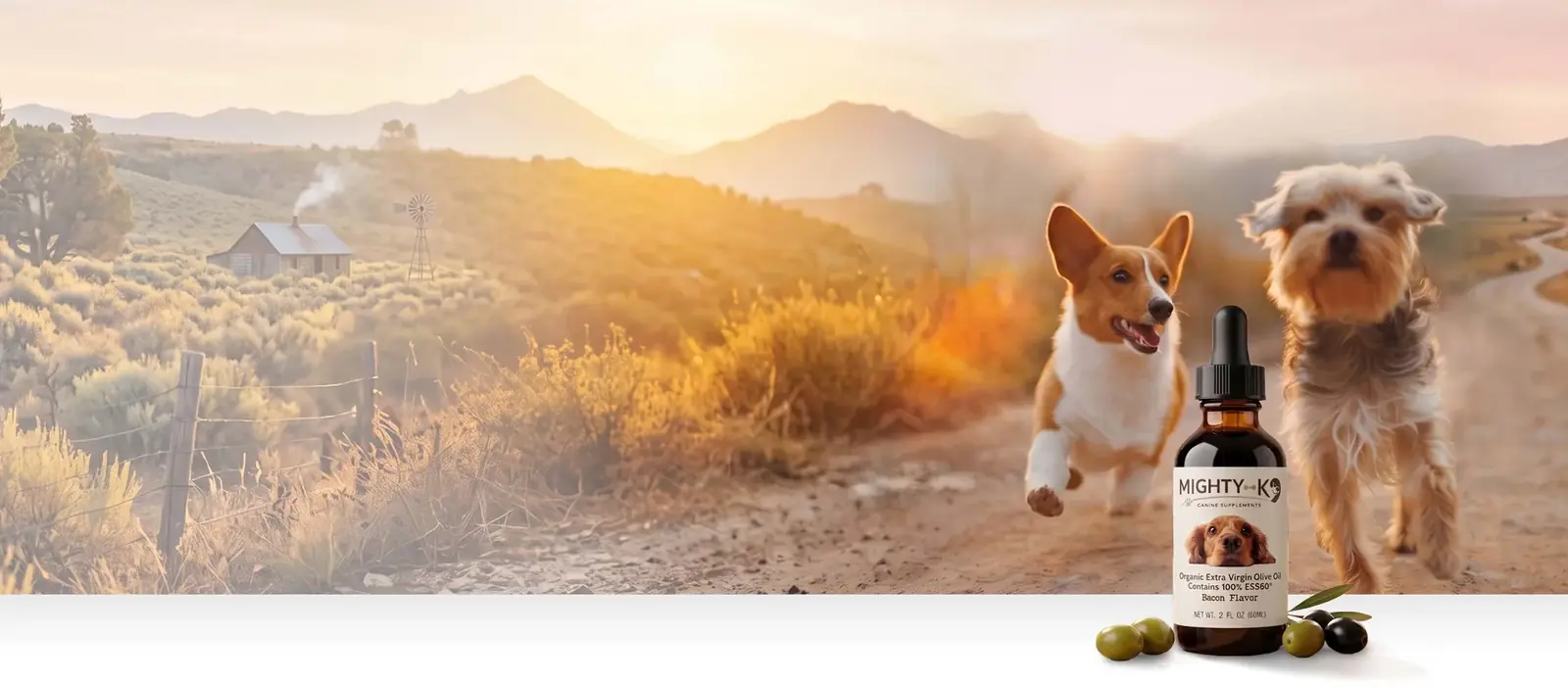 A corgi and a scruffy terrier trotting down a dusty country trail at sunset beside a Mighty K9 bottle