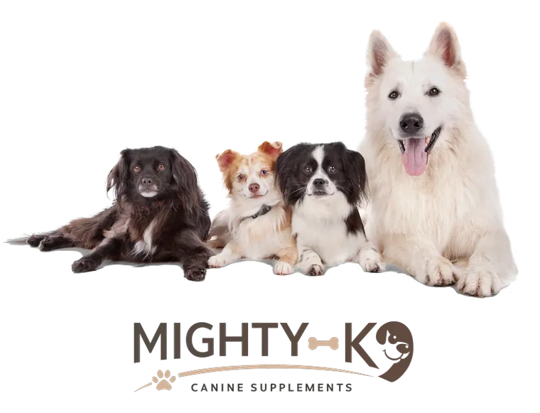 Four dogs of different sizes lying side by side above the Mighty K9 Canine Supplements logo